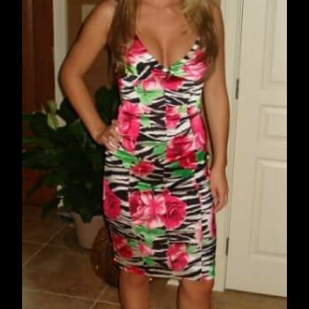Cache Floral Zebra Dress Sz 4